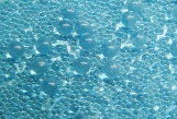 BRC 124 Blue