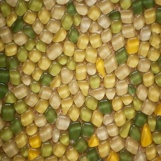 LSK 222