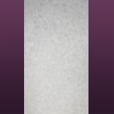 8101