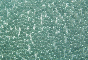 BRC 2 Aqua