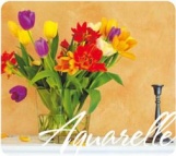 Aquarelle