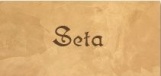 Seta