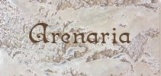 Arenaria