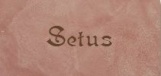 Setus
